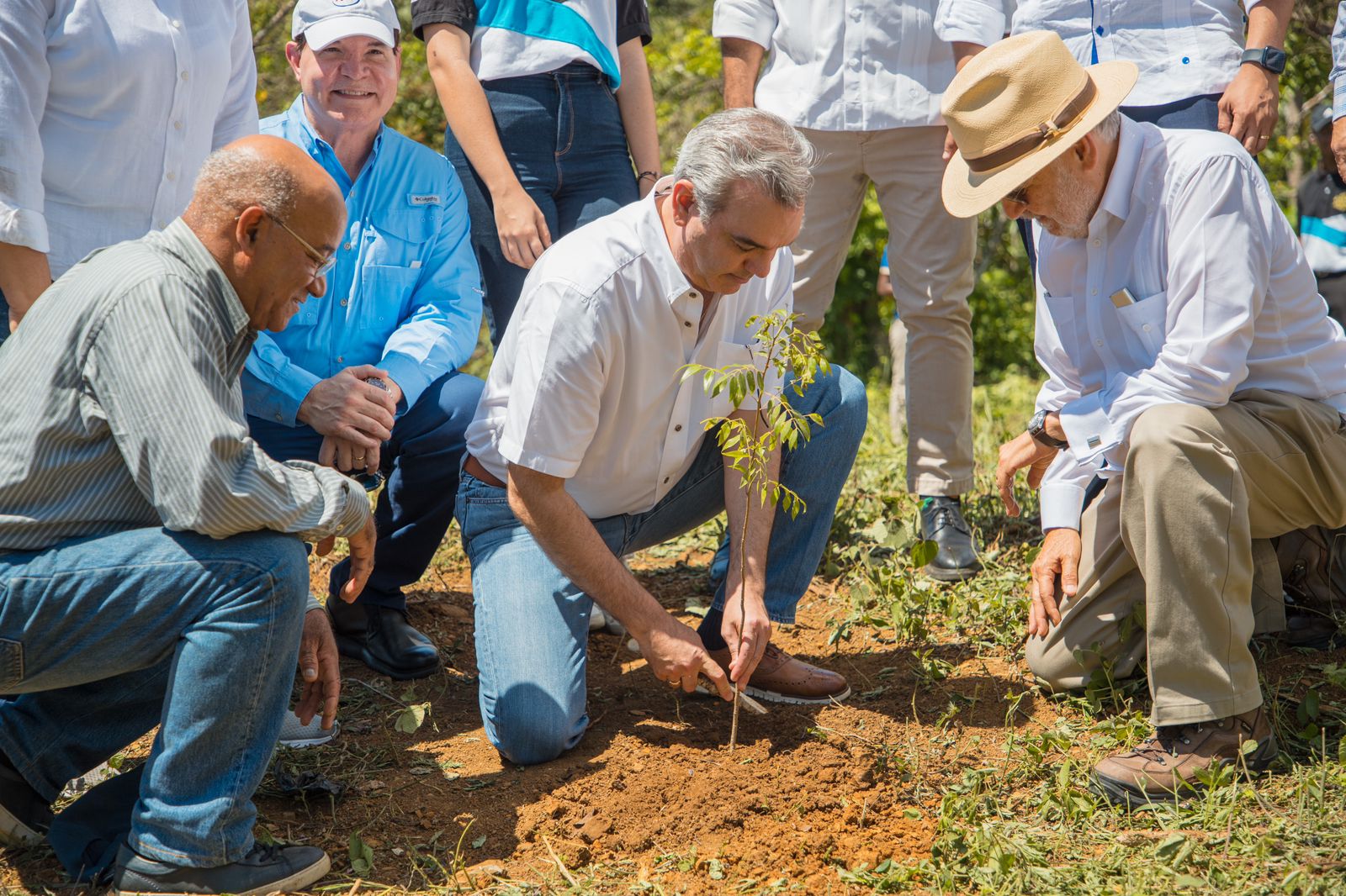 Presidente Luis Abinader declara Plan de Reforestación de seguridad nacional